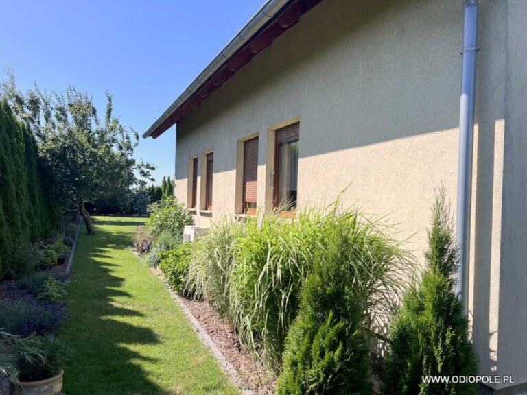 Dom wolnostojący Czarnowąsy ODI/D/2470 ODI/2470 - Domy, Opole — zdjęcie 15