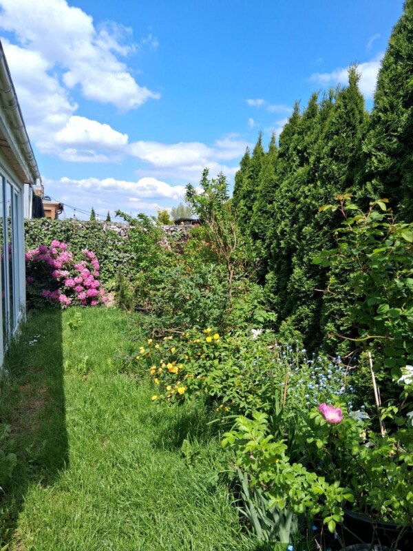 3-pokoje z ogródkiem, Rzeszów, Drabinianka ODI/2542 — zdjęcie 9