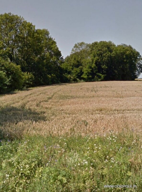 Działka z rozpoczęta budową ODI/2387 - Działki i Grunty, Kępino — zdjęcie 4