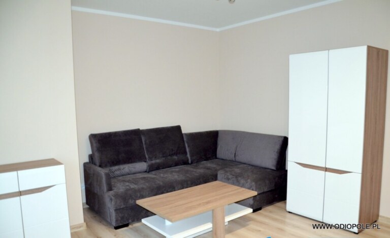 Apartament 2 pokojowy ODI/2521 - Mieszkania, Opole — zdjęcie 4